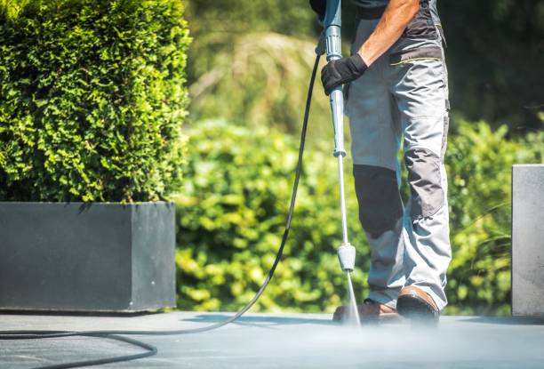Best Building Exterior Washing  in Odessa, FL