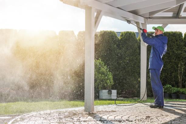 Best Graffiti Removal  in Odessa, FL