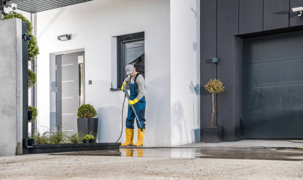 Best Fleet Vehicle Washing  in Odessa, FL